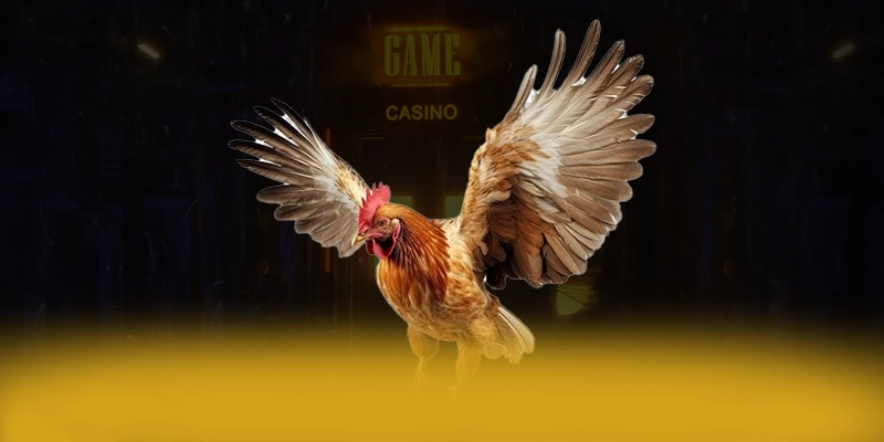 BU88 - Kết luận về cổng game đáng trải nghiệm nhất 2025 BU88 - Kết luận về cổng game đáng trải nghiệm nhất 2025