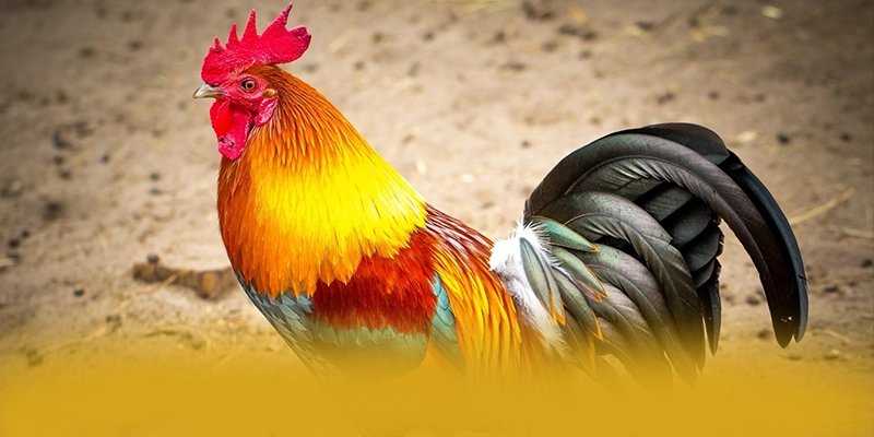 8xbet - Cổng giải trí quy tụ nhiều siêu phẩm hot hiện nay 8xbet - Cổng giải trí quy tụ nhiều siêu phẩm hot hiện nay