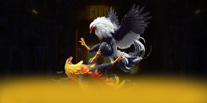 Khám phá FB88 - Cổng game chất lượng hiện nay