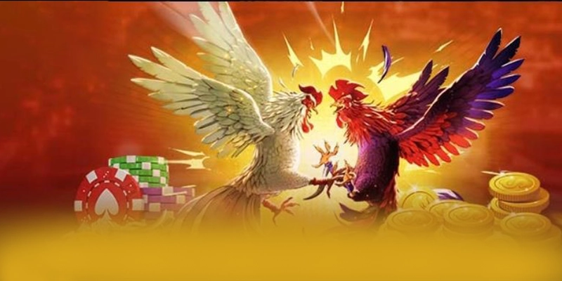 8xbet – Cổng giải trí được tin dùng tại Việt Nam
