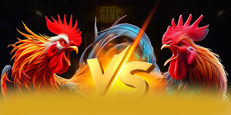 SUNWIN - Trang game tối ưu số 1 Việt Nam